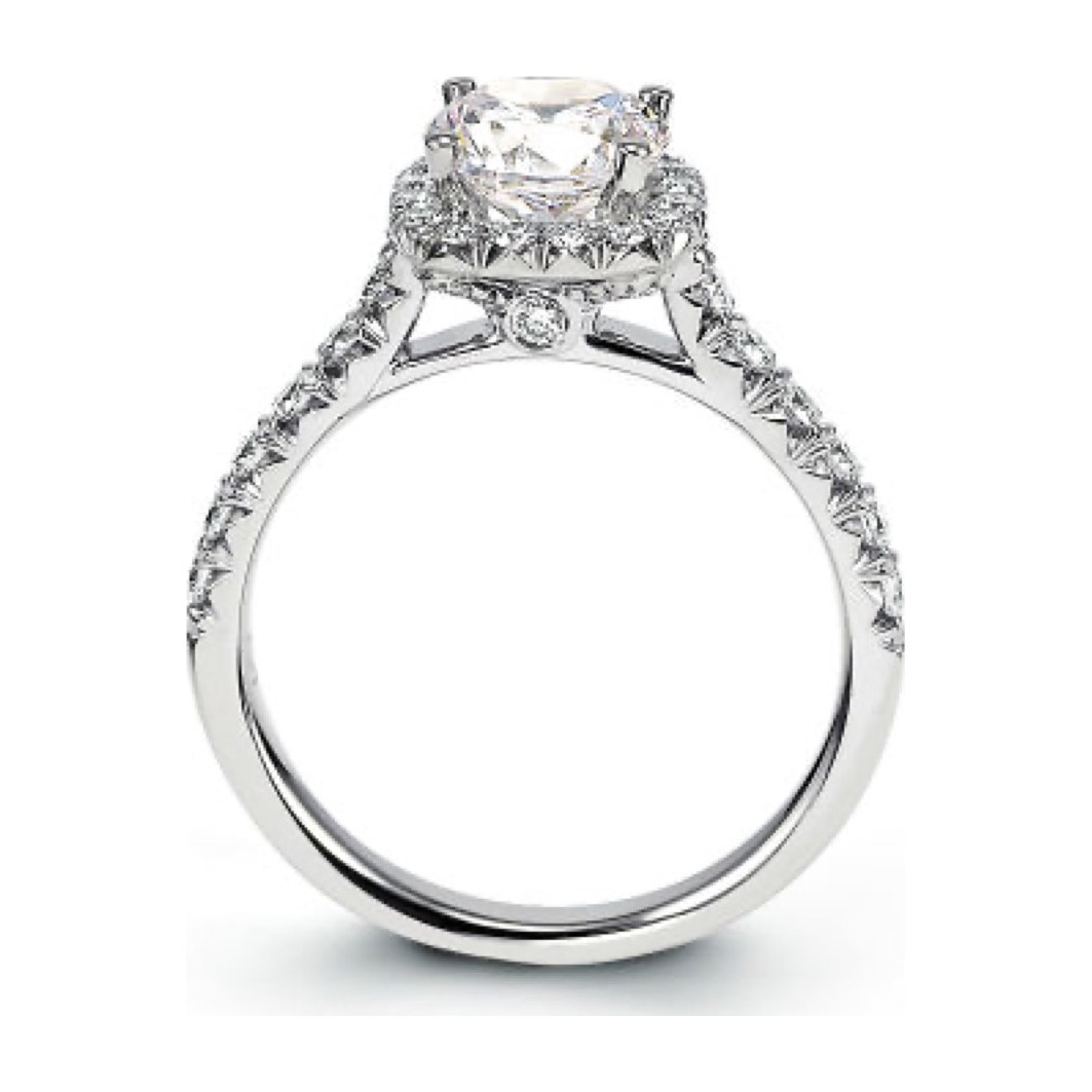 Nicolette Ring