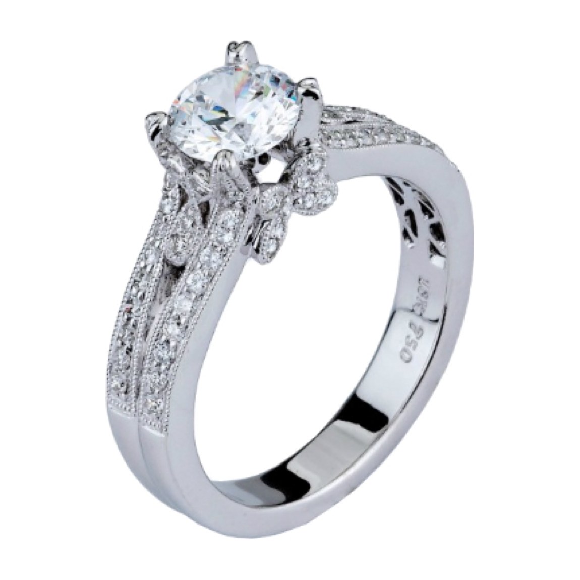 Farrah Ring