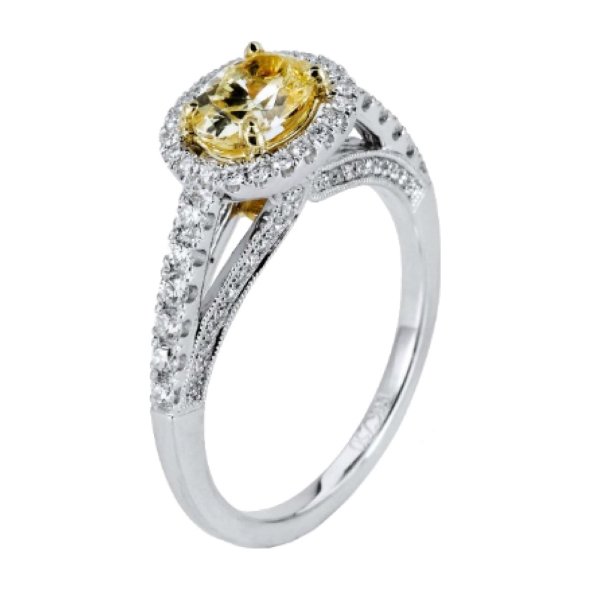Belmont Ring 2