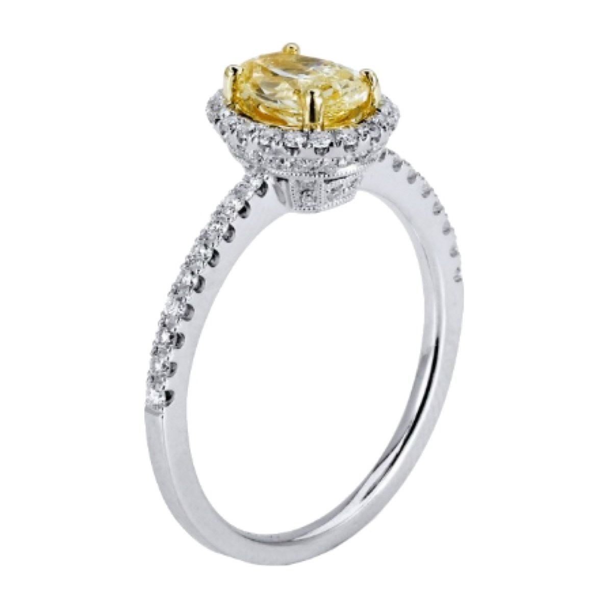 Camden Ring 2