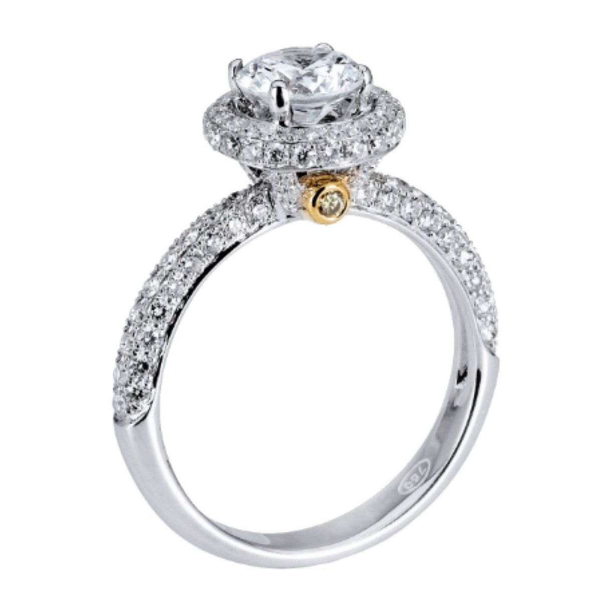Delphine Ring 2