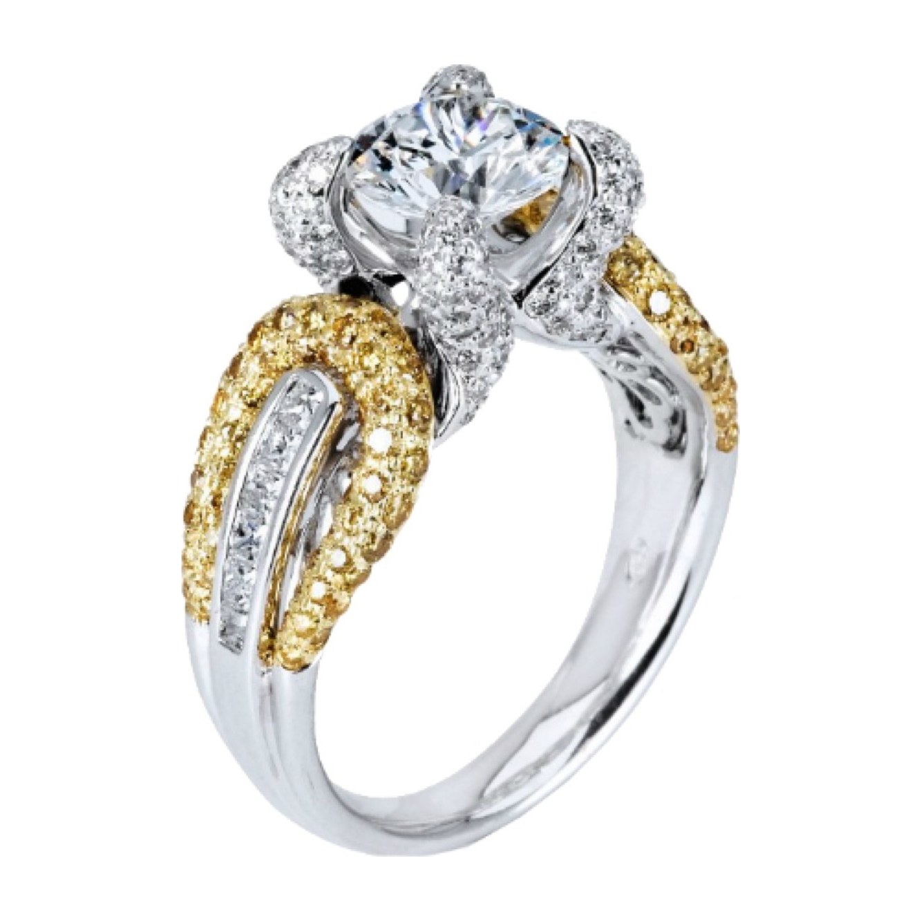 Ximena Ring 2