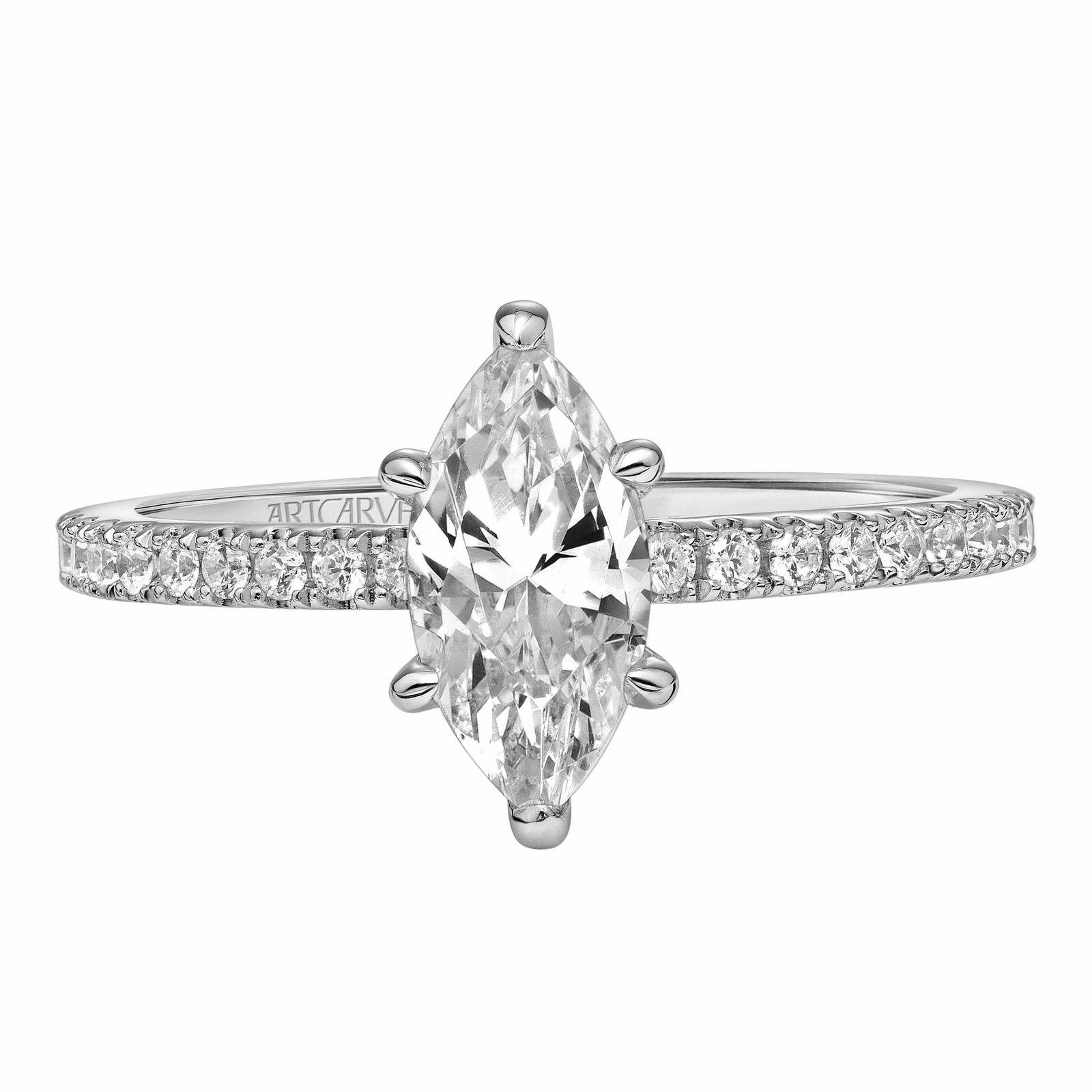 Yvaine Marquise