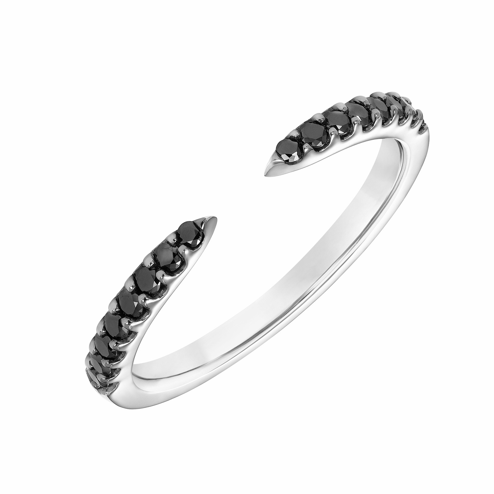 Junia Pavé Band